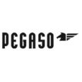 PEGASO